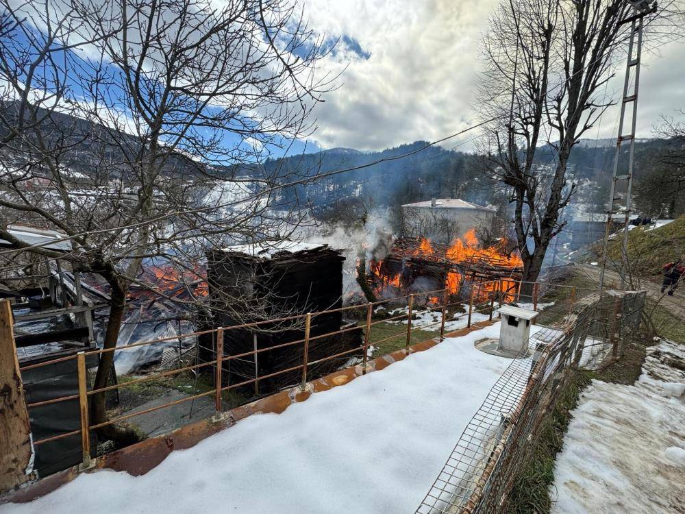 Kastamonu'da 2 ev ve bir ambar alev alev yandı