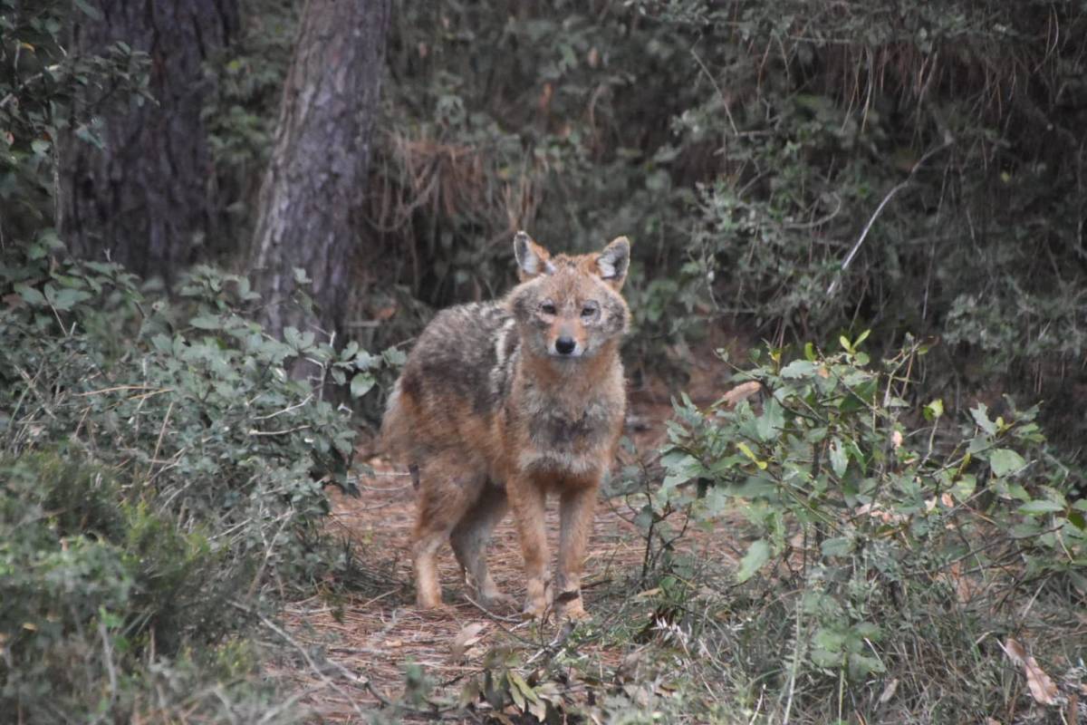 Objektifi görünce istifini bozmadı