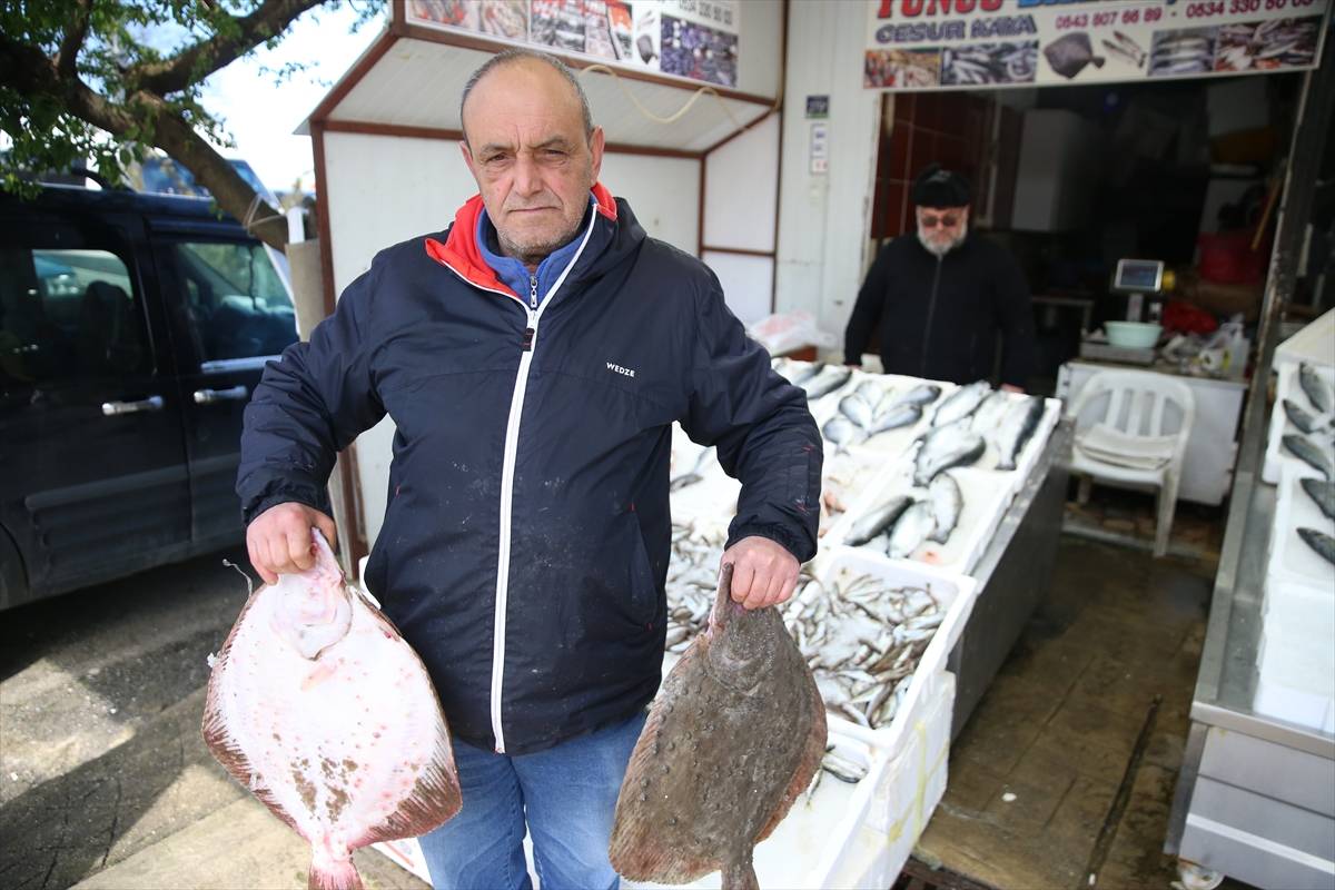 Palamudun üzdüğü Karadenizli balıkçıları hamsi mutlu etti