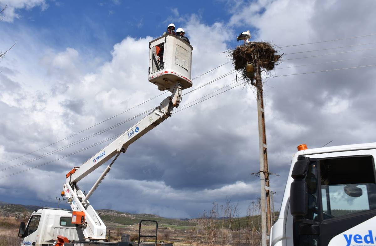 Sinop’ta leyleklere güvenli yuva