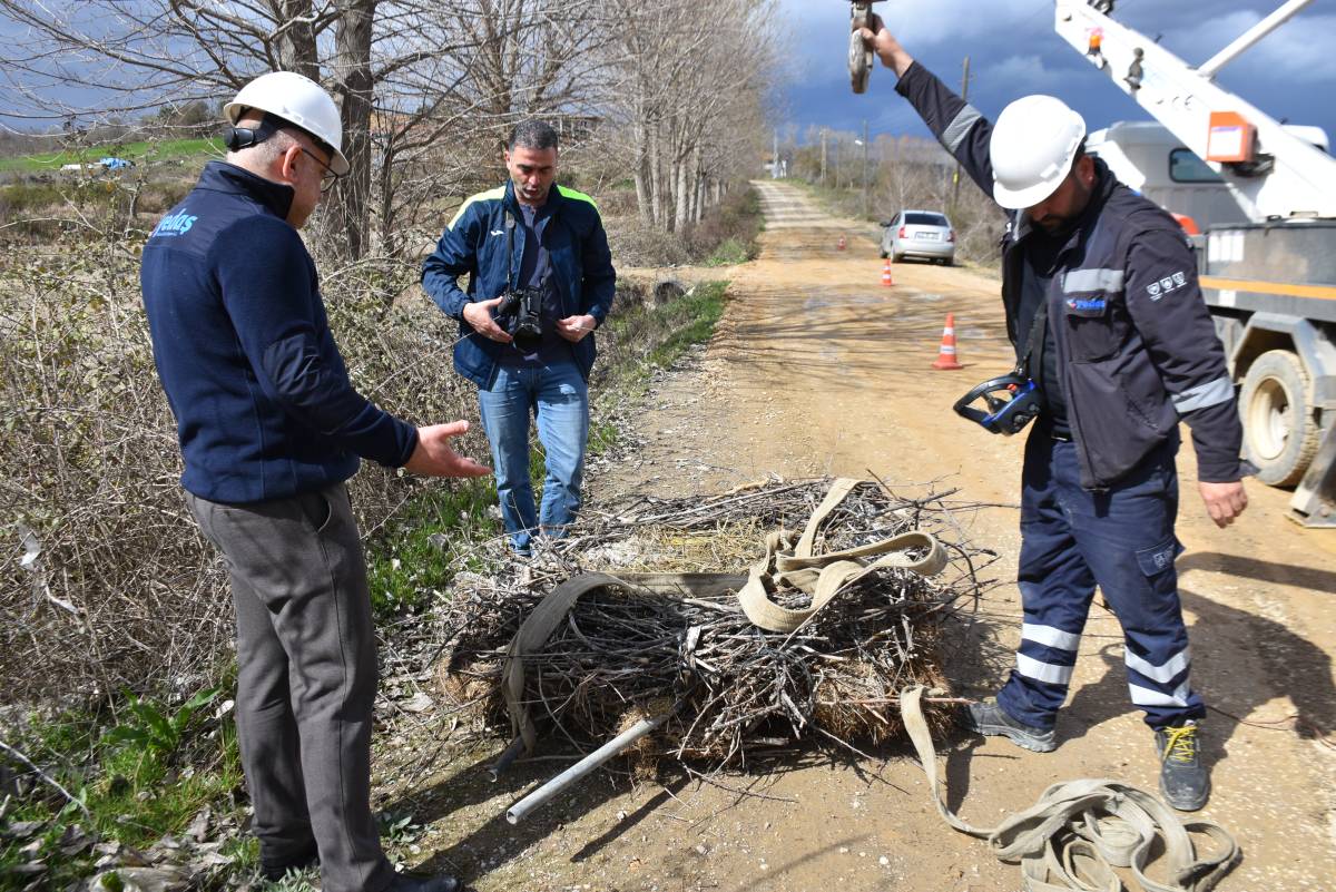 Sinop’ta leyleklere güvenli yuva