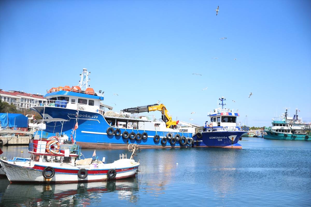 Palamudun üzdüğü Karadenizli balıkçıları hamsi mutlu etti