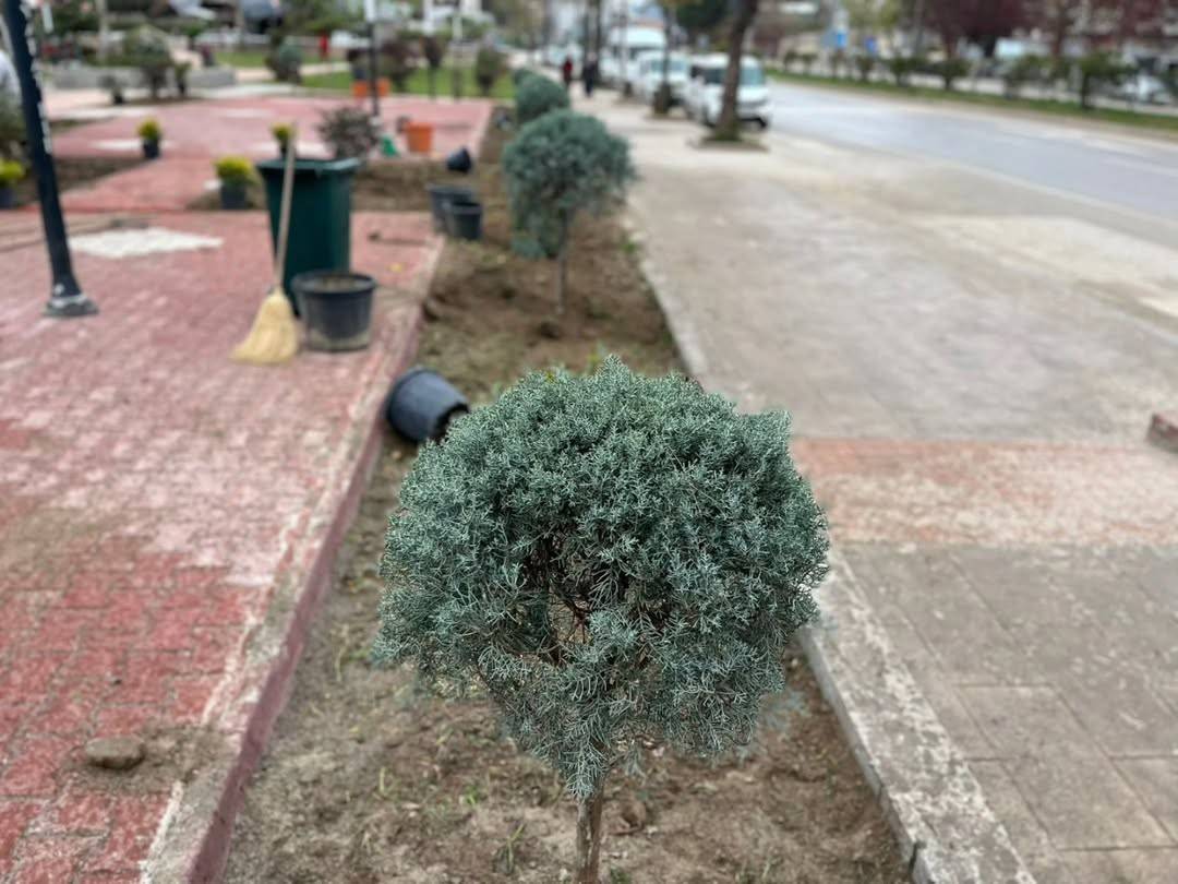 Boyabat'ta park ve bahçeler güzelleşiyor