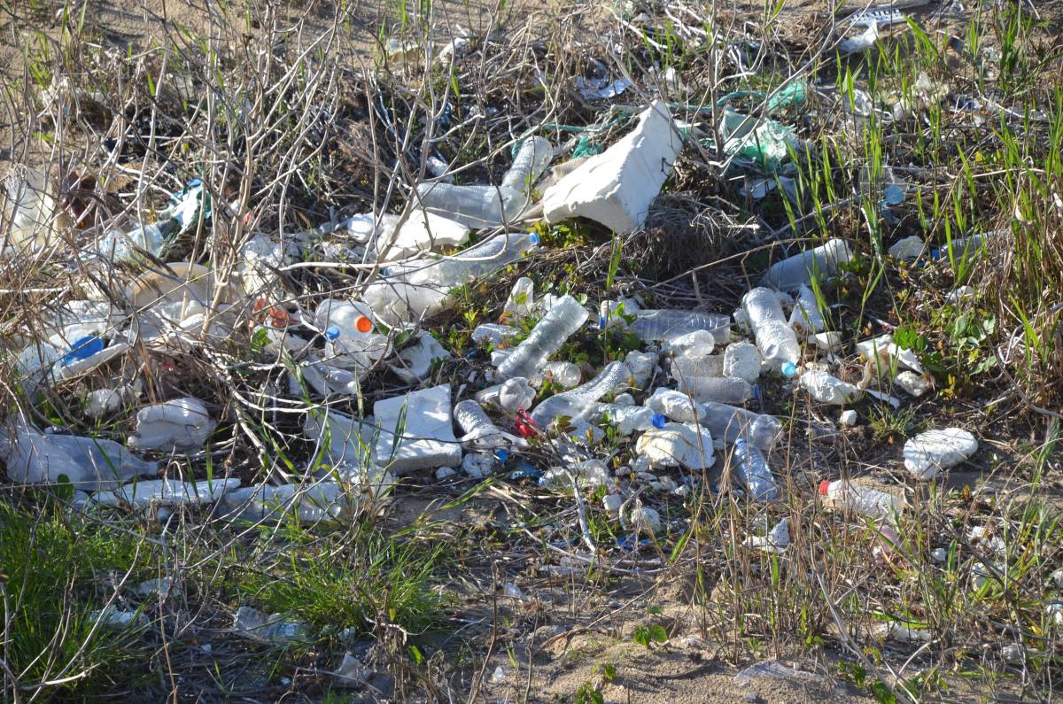 Sezon kapıda, onlar kıyıda