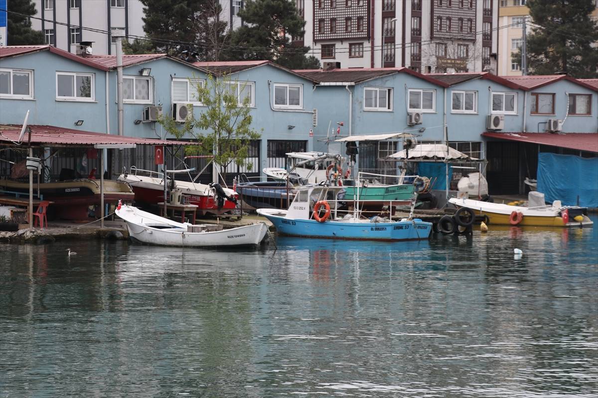 Palamudun üzdüğü Karadenizli balıkçıları hamsi mutlu etti