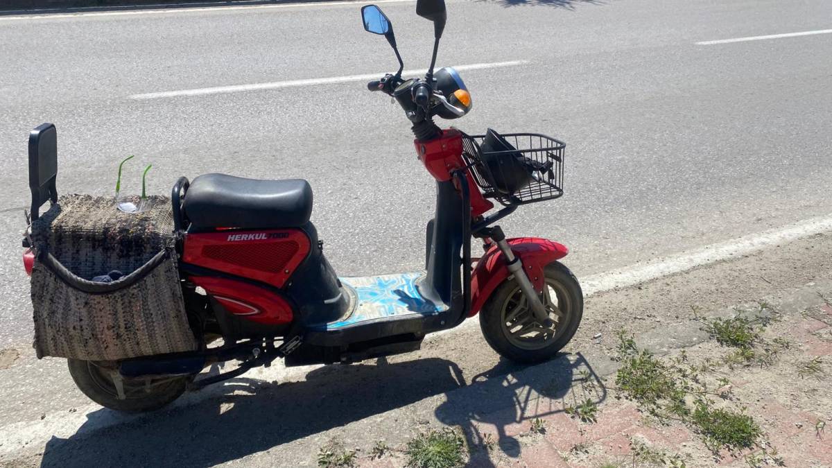 Sinop’ta traktör kasasındaki dallar kazaya sebep oldu