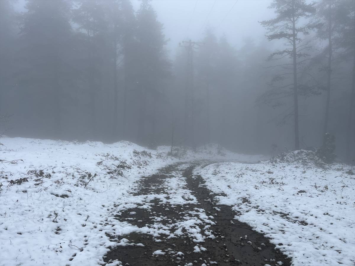 Bazı illerde kar etkili oldu